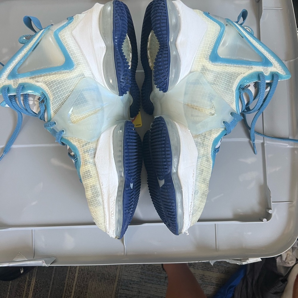 Men's Lebron Nike Basketball Shoes
